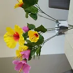 Casa Castrelos Ideal Familias Y Grupos Apartment Vigo