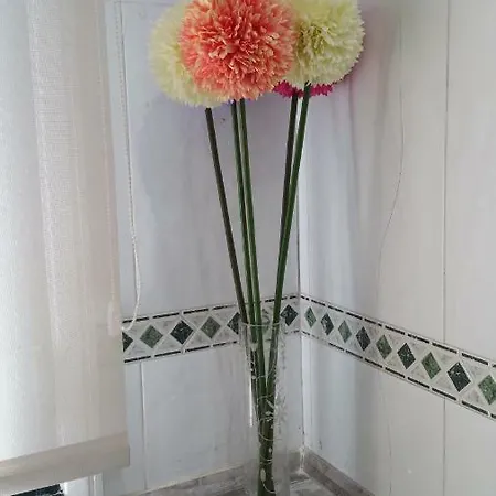 Ideal Familias Y Grupos Apartment Vigo
