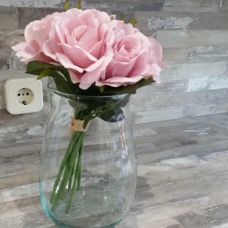 Apartmán Casa Castrelos Ideal Familias Y Grupos *