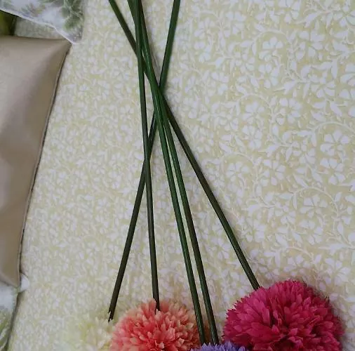 Apartmán Casa Castrelos Ideal Familias Y Grupos