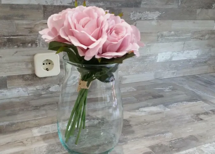 Apartmán Casa Castrelos Ideal Familias Y Grupos *