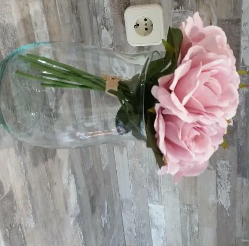 Casa Castrelos Ideal Familias Y Grupos *